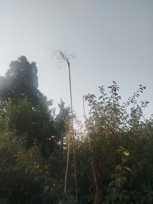 Antenne paramagnétique