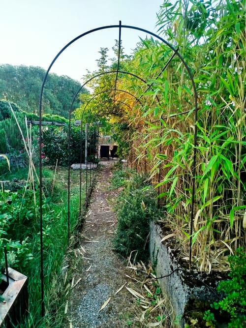 Arches de jardin, support à plantes