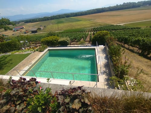 Main courante inox de piscine