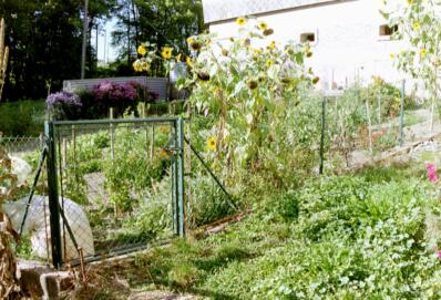 Portail de jardin avec clôture et treillis